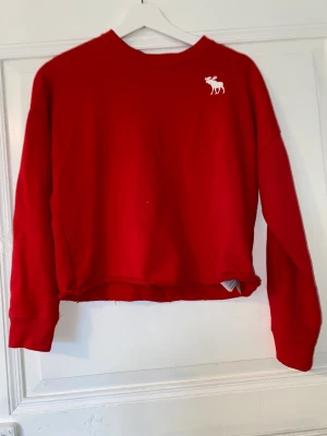 Croppad sweatshirt från Abercrombie and fitch - Jätte fin tröja i väldigt fint skick. Inte använd på flera år och enbart använd ett fåtal gånger då. Storlek 146/152 men passar mig som har xs.