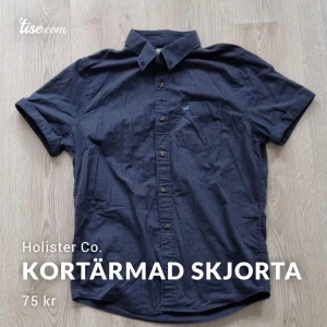 Kortärmad skjorta  - Blå kortärmad skjorta från Hollister Co. i nyskick 👔