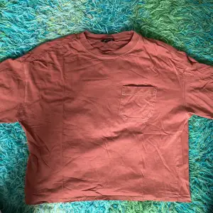 Rostbrun t-shirt från monki som är overzised och kroppad. Säljer då den har blivit för liten :) Bra skick!