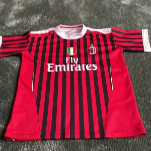 Ibra tröja - Lejonets tröja i milan