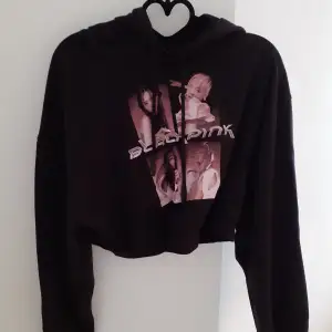 Säljer denna blackpink hoodien som är lite croppad i storlek M. Köpt från h&m för ca 200kr och bara använt fåtal gånger. Skriv gärna vid intresse🤍 Priset kan diskuteras.