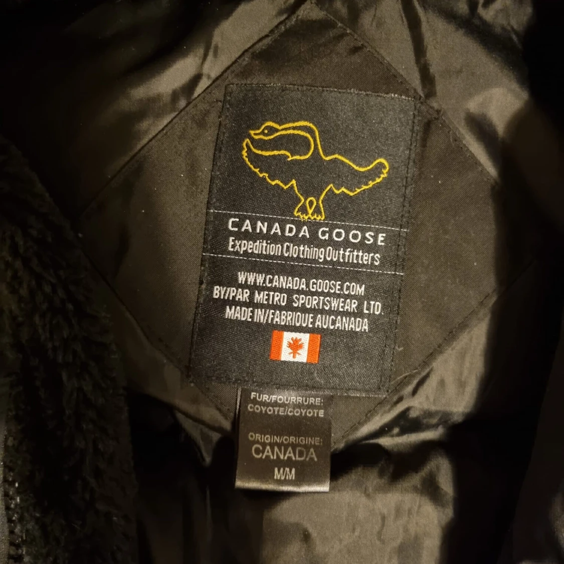 Canada goose - 90