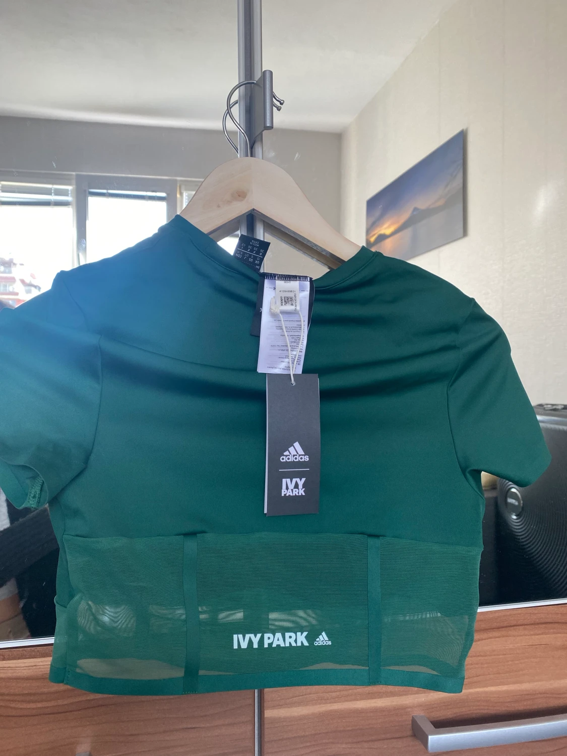 Adidas x Ivy park set  - 91