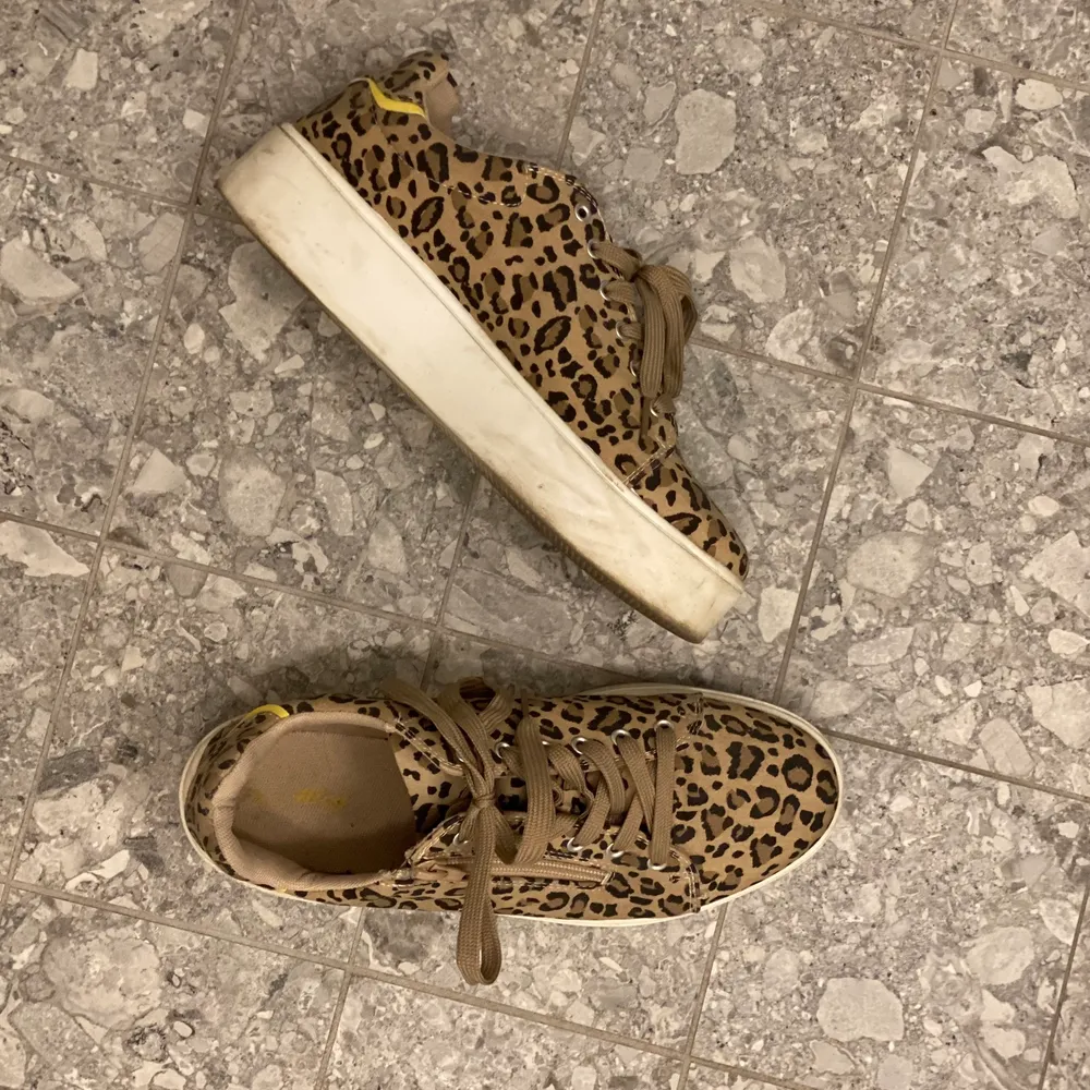 Sneakers i leopardmönster från Skopunkten. Storlek 40, passar 41 med. Använda några gånger så väldigt fint skick. Köparen står för frakt! 🐆💛. Skor.