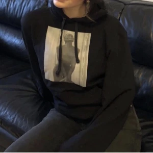 The cool elephant hoodie - Säljer nu min the cool elephant hoodie. Bra skick!  Pris kan diskuteras vid snabb affär, Lånad bild