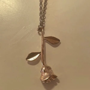 Gulligt halsband - säljer då jag använder andra halsband💗 27kr ink frakt💕 den är mer rose färgad än guld☺️