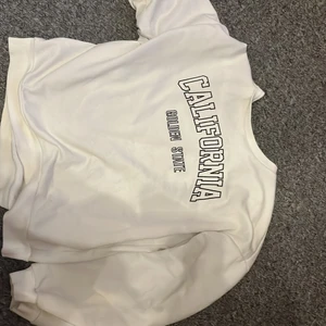 Hoddie  - En super fin tröja från shein använd ett antal gånger men fin❤️inga hår eller nått 