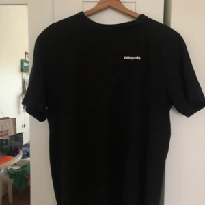 Patagonia t-shirt, Strl L - Schysst Patagonia tröja som jag säljer då den är för stor för mig. Jag har vanligtvis M. Trycket är på ryggen. Skriv privat för mer frågor.