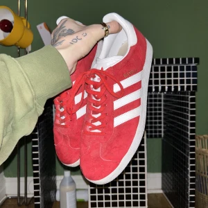 Adidas Gazelle - Nice sneakers som e för små för mig. 