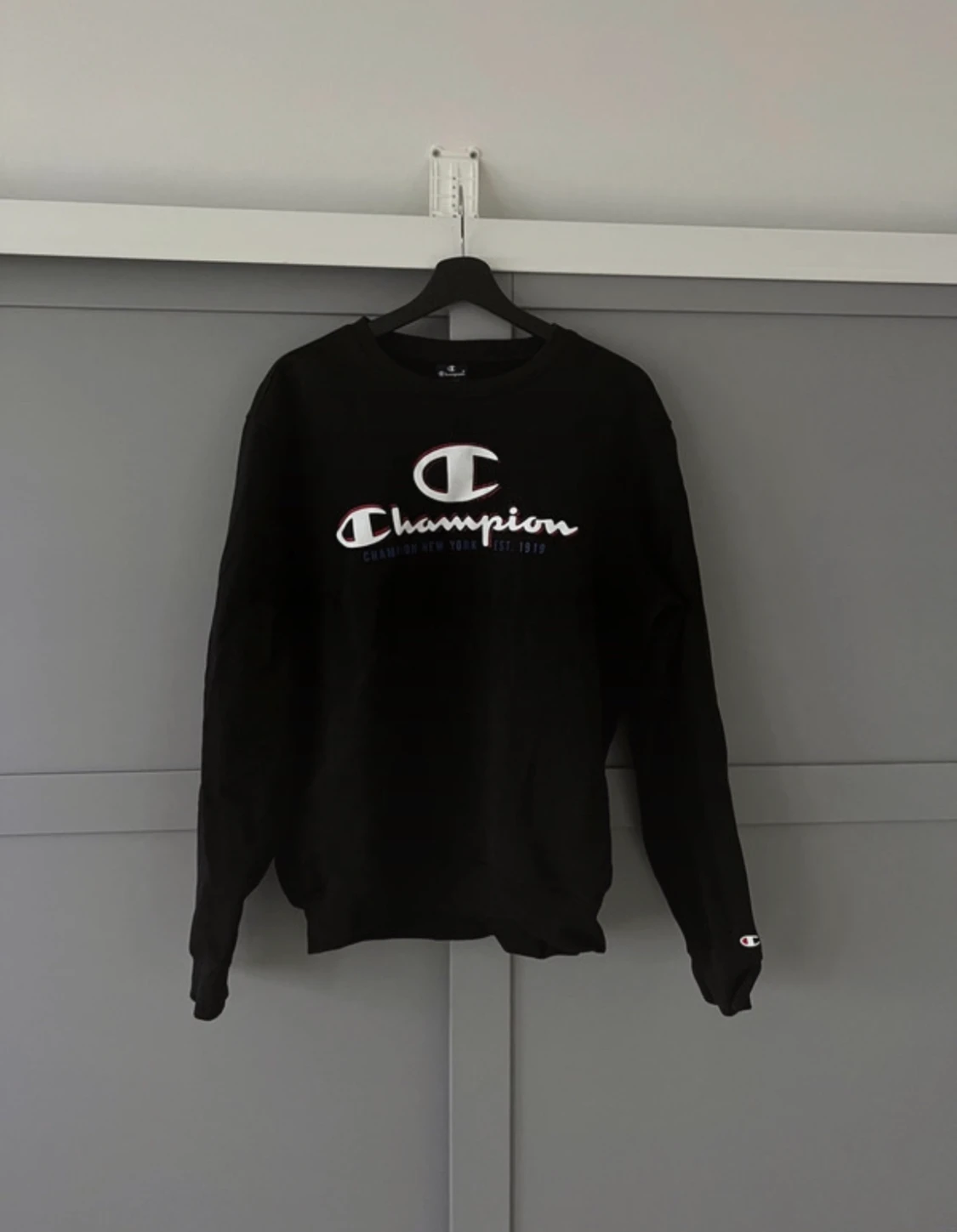 Champion sweatshirt 
