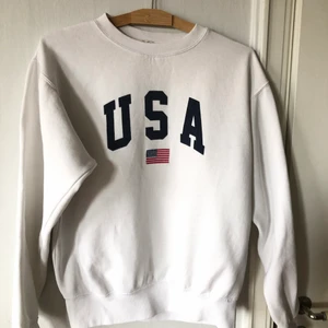 Sweater - Brandy Melville  - Snygg sweatshirt från brandy Melville. Storlek S. Har en liten fläck på armmudden som inte går bort.