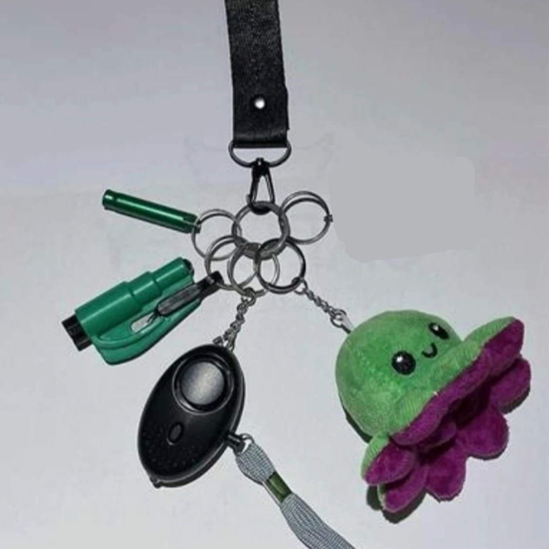 Säkerhets nyckelringar 