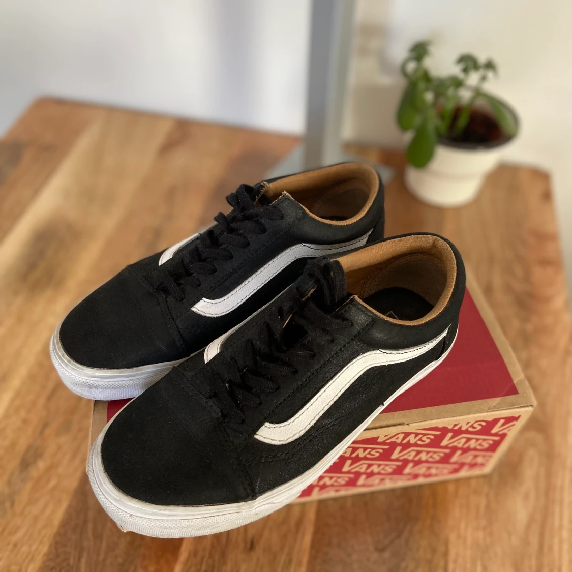 Vans skor
