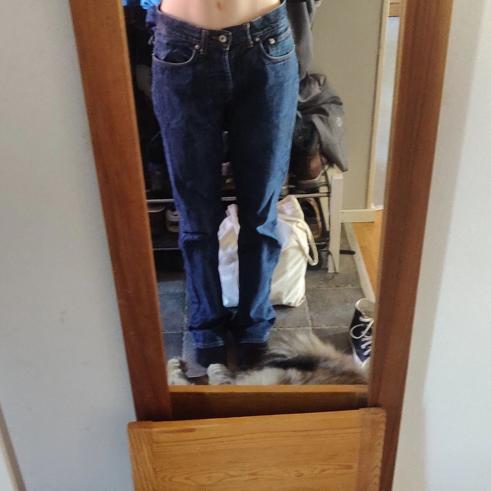 Lågmidjade jeans som slutar några centimeter under min navel, perfekt längd på mig som är 172 centimeter!   Bara att höra av sig vid fler frågor eller bilder!! <3. Jeans & Byxor.