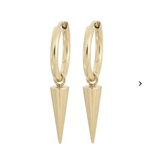 Edblad örhängen - Snygga örhängen 💕💕