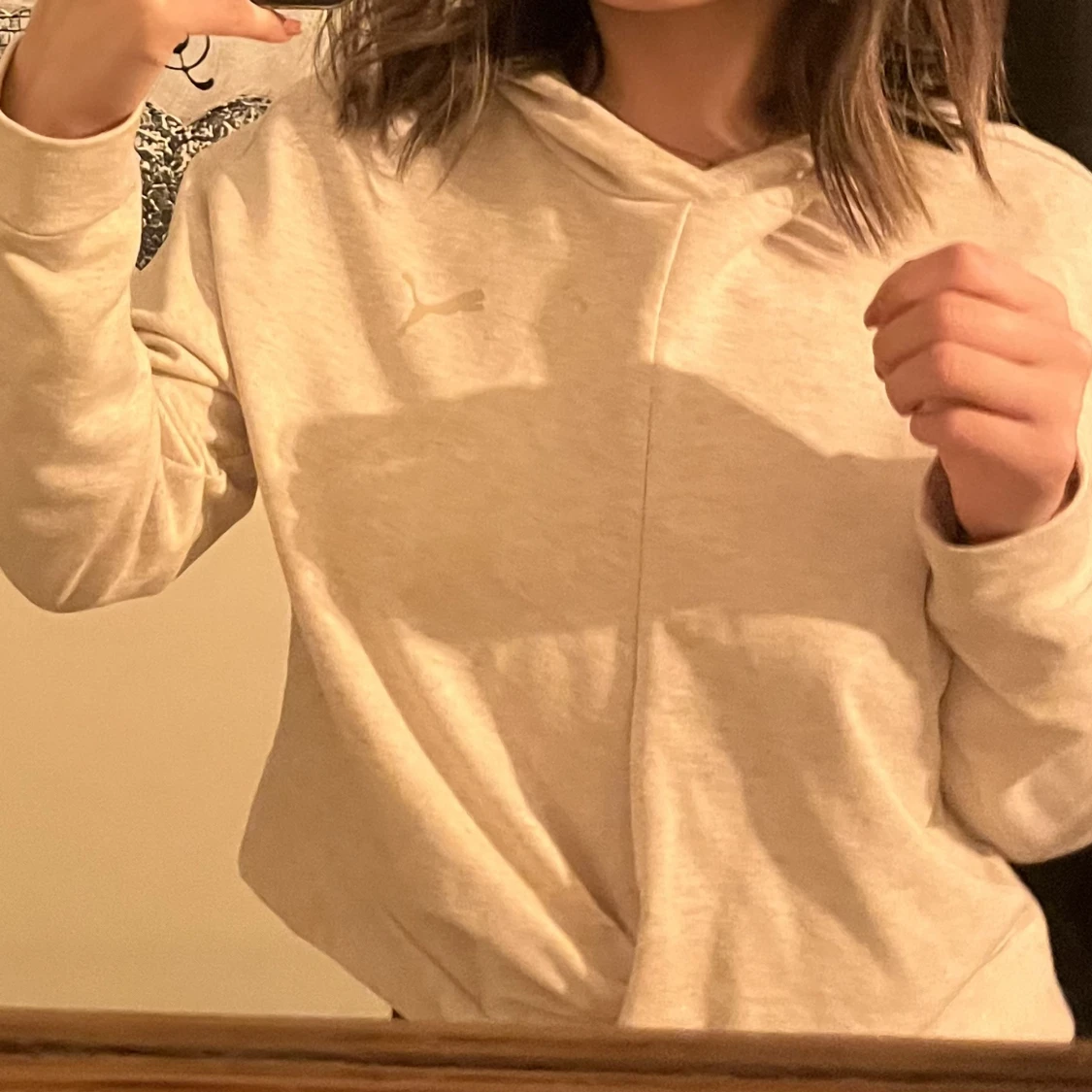 Grå Puma hoodie  - 90