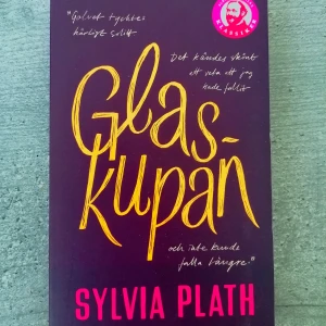 Glaskupan bok💜 - Den är jätte bra jag rekommenderar den👍 Inga sidor är vikta och omslaget är i gott skick.
