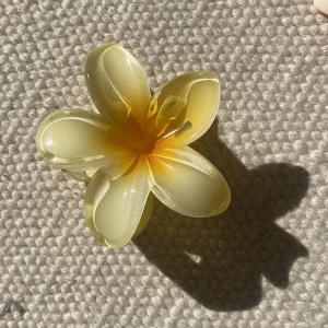 Blomklämma - Säljer pga köpte för många. En glansig klämma, har ordentligt grepp och mycket vacker. Om du vill vara fett smexig och åtråvärd - köp denna. 