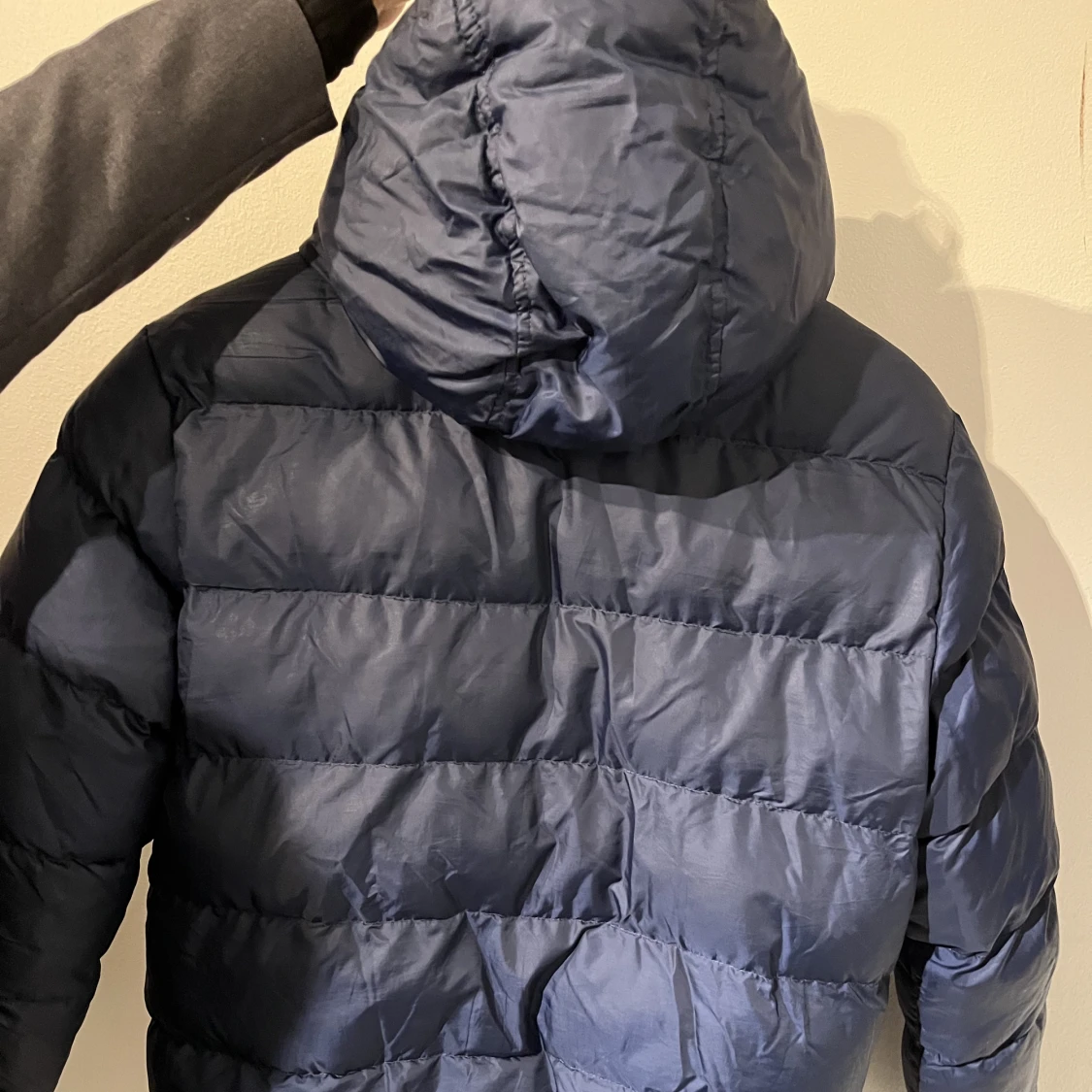 Timberland Jacka  - 91