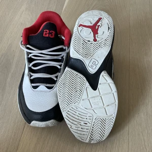 Jordan 3 Max Aura - Väldigt bra skick 7/10. Nypris: ca 1400. Kan sänka pris vid snabb affär.