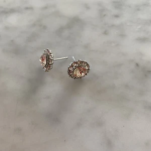 Lily and rosé örhängen  - Nypris 349kr + bonusörhänge då enda är borta (nypris är 549kr) Box ingår, Stopp ingår ej Sparsamt använda 🦋