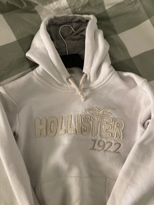Hoodie  - Hoolister hoodie strl s