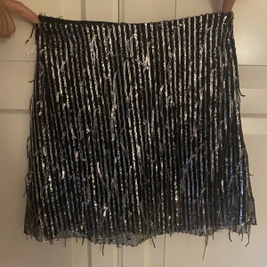  paljettkjol  - Kort paljettkjol, använd en gång.
