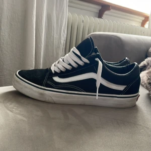 Vans skor - Vans skor i 9/10 sick knappt använda. Säljer för dem är små storlek 42