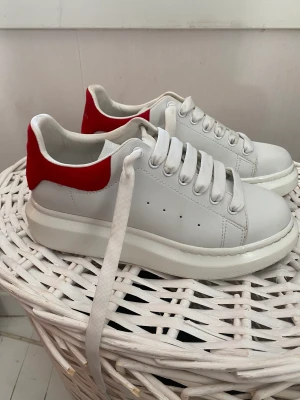 Alexander McQueen skor  - Alexander McQueen skor! Använda ca 10 gånger, så de är i bra skick! Önskas det fler bilder på skorna så kan jag skicka det☺️ Lådan är tyvärr slängd så den ingår inte, ska även tvätta av sulan mer noggrant innan de postas☺️