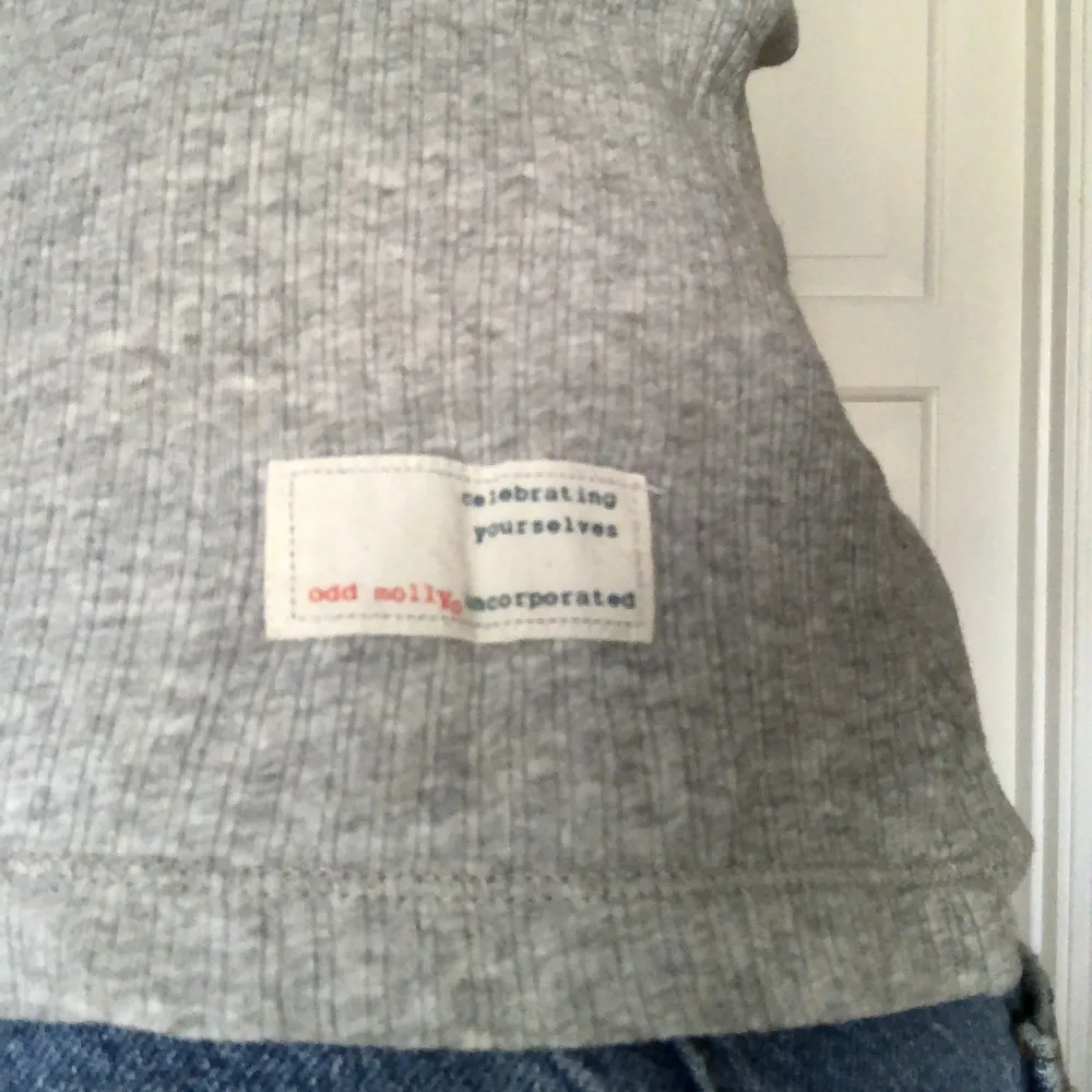 Super söt grå tröja från odd molly, säljer då den inte riktigt är min stil🤓 Bra skick och säljer samma i marinblått💕. Toppar.