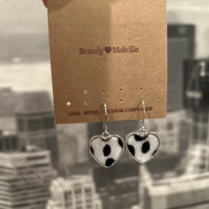 Örhängen  - Oanvända örhängen från Brandy Melville
