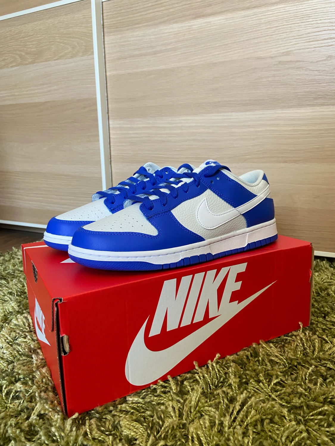Nike dunk Low "Blue and White"