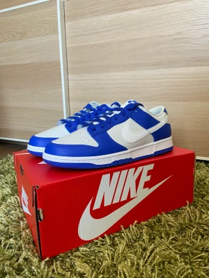 Nike dunk Low "Blue and White" - Nike dunk Low 
