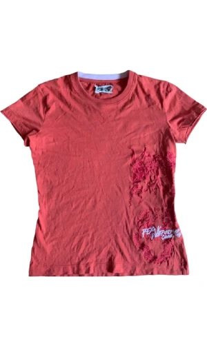 Y2k T shirt - Säljer min vintage peak performance t shirt med en drake. Säljer då den inte kommer till användning. Tröjan är i storlek M men passar mig perfekt med XS/S. Tröjan är i nyskick, priset går att diskutera.