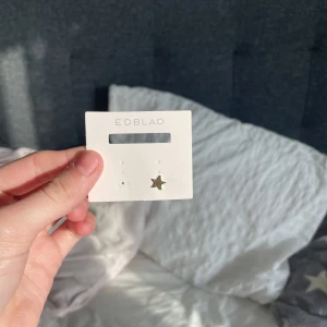 1 Edblad örhänge - Ett jätte söt örhpnge från Edblad. Tappade bort det andra örhänget och jag är ingen guld person. Säljer för 50 kr. 