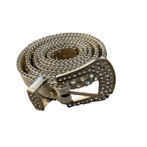 Bb belt - Säljer detta fake bb belt pga jag får aldrig användning av det. Använt 2 ggr och inga diamanter har ramlat av. Bredd: 2,5 cm Längd:105 cm💕