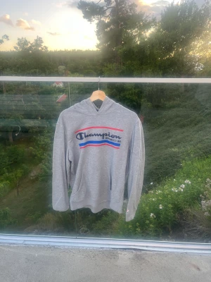 Champion Hoddie - Ingen skada eller slitage