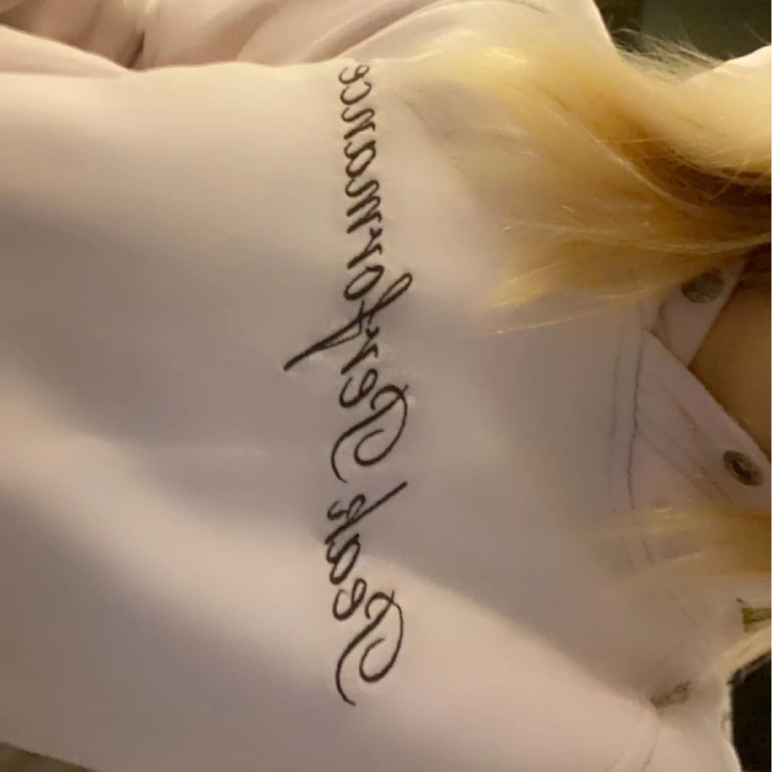  peak performance hoodie  - 91