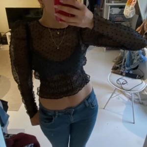 Svart blus  - Svart långärmad genomskinlig blus med puffarmar