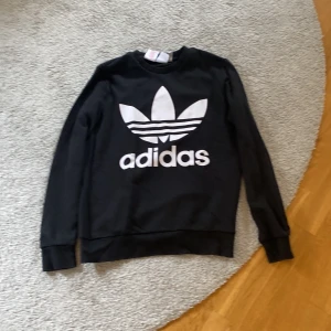 Hodie  - Adidas