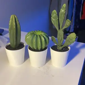 Mini plast fake kaktusar runt 10 cm höga och ca 3-5 cm breda med vit fake kruka, 25kr (utan frakt)
