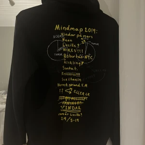 Hov1 hoodie - Intressekoll!! Ascool mindmap hoodie från vindar på mars släppet, bra skick men dock är trycket lite sprucket (kolla sista bilden) storlek S men passar även xs, kom med bud💞(säljer bara vid bra bud!!!)