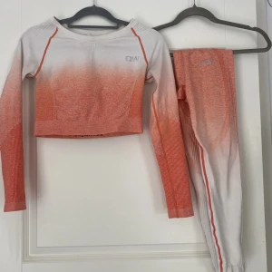 iCW  - Använt ca 5 ggr 