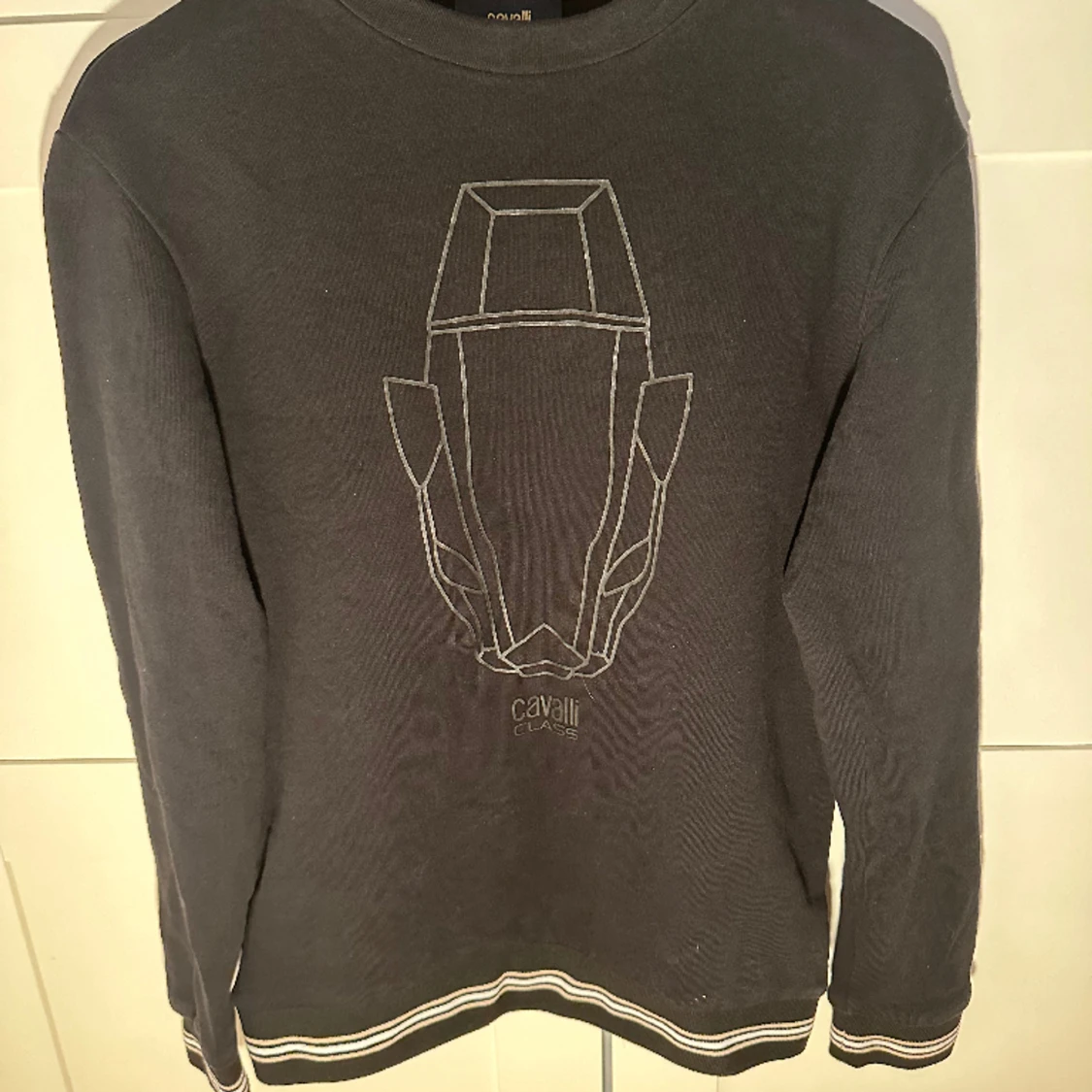 Cavalli class sweatshirt 
