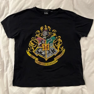 ”Hogwarts” T-Shirt - Hogwarts (Harry Potter) T-Shirt svart i storlek M, använd mycket men okej skick, inga skador, 