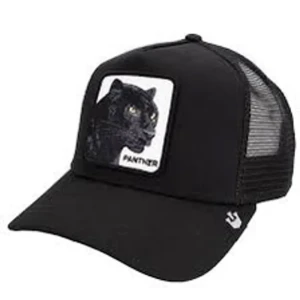 Keps - Den populära panther kepsen från gorins boss! Köpt för 430kr och är aldrig använd!🩵