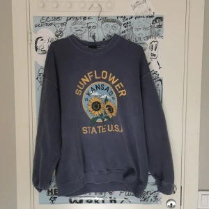 Urban Outfitters Sweatshirt - Urban Outfitters Sweatshirt i bra skick