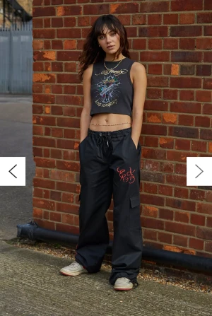 Ed Hardy Cargos - Säljer mina Ed Hardy Cargos som inte längre går att köpa! Köpta på Urban Outfitters för ett tag sedan, men de har bara legat i lådan sen dess..