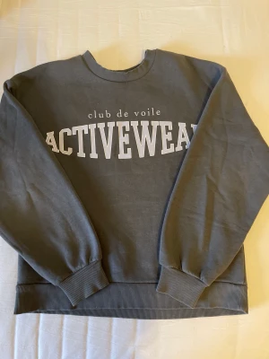 Sweatshirt - Säljer denna mjuka tjocktröja från Gina Tricot. Jättefin mörkgrå färg med ljuslila text. Storlek xs men är lite oversized så en s kan också ha den. Köpt för 250 men säljer för 150. Så fin men inte är min stil längre och jag har slutat använda den💗 