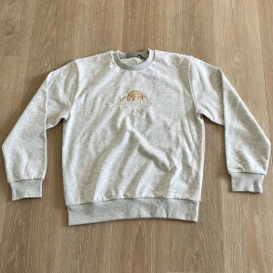 Helt ny Carhartt tröja! - Helt nya Carhartt tröjor! Dom finns i storlek L, M och även S om det skulle behövas! Nypris 1199kr, jag säljer för 450 då jag fått dom för lågt pris. Skriv vid fundering eller någon undring! Köparen står för frakt.